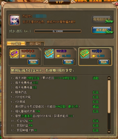 《梦幻之城》VIP介绍 《梦幻之城》VIP介绍