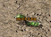 《原始传奇》精英怪物